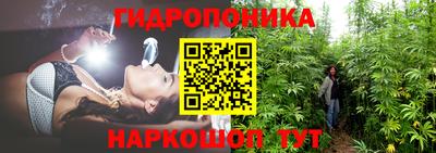 крисы Комсомольск-на-Амуре