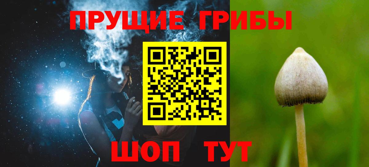 Галлюциногенные грибы Psilocybe Якутск